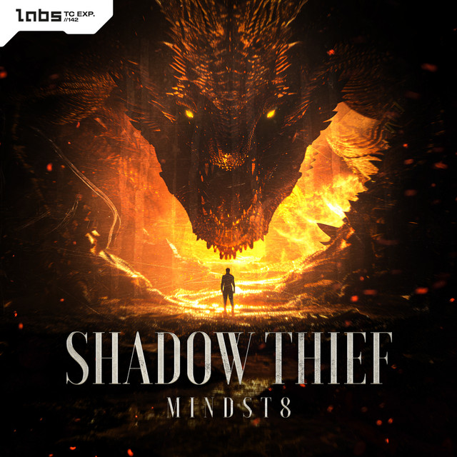 Shadow Thief cover art