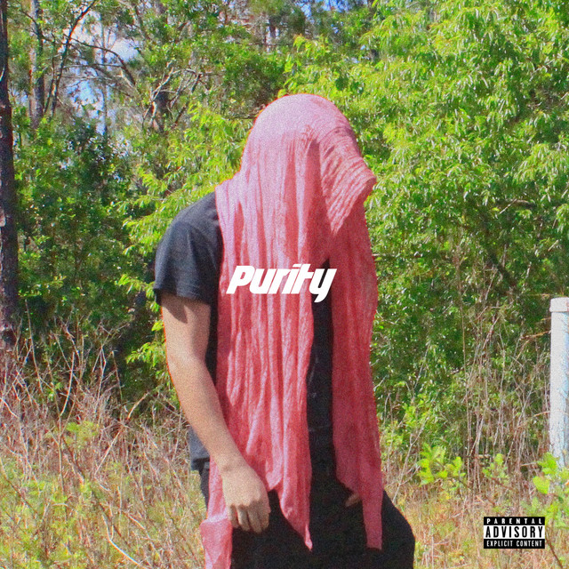 Purity cover art