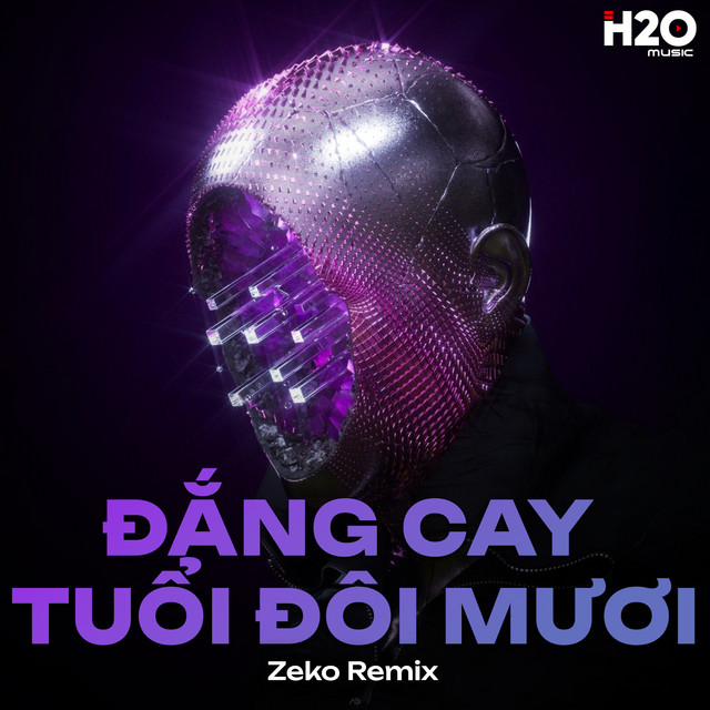 Đắng Cay Tuổi Đôi Mươi (Zeko Remix)
