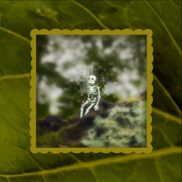 ZoneBones cover art
