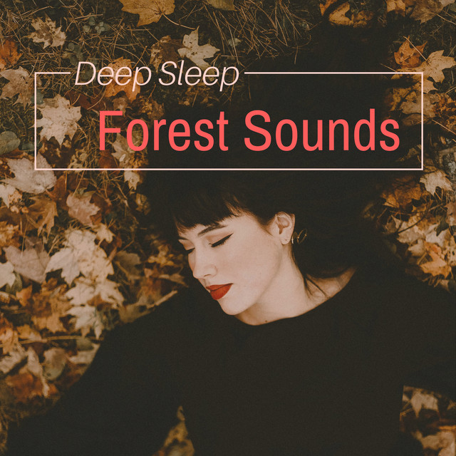 Deep Sleep Forest Sounds - Dreamy Night Music for Relaxation - Album by ...