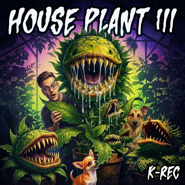 House Plant 3