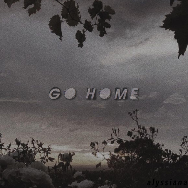 go home cover art