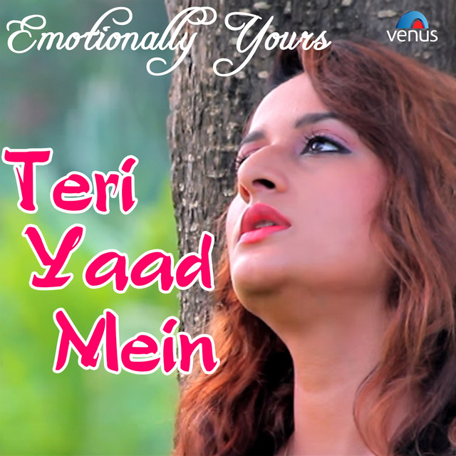 Teri Yaad Mein