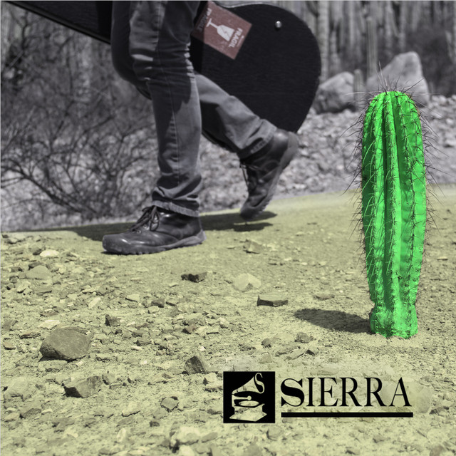 Yo No Sé Lo Que Tengo cover