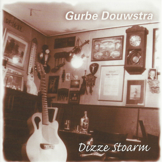 Dizze Stoarm cover