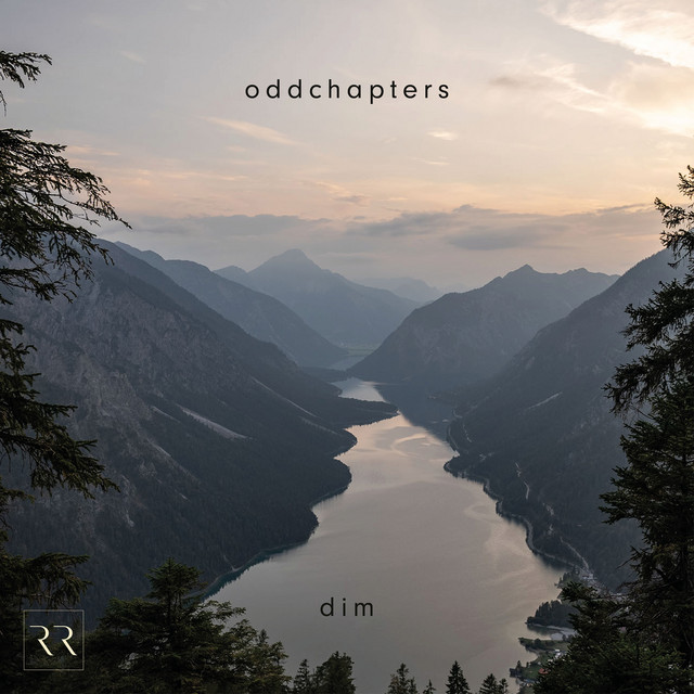 Dim cover art