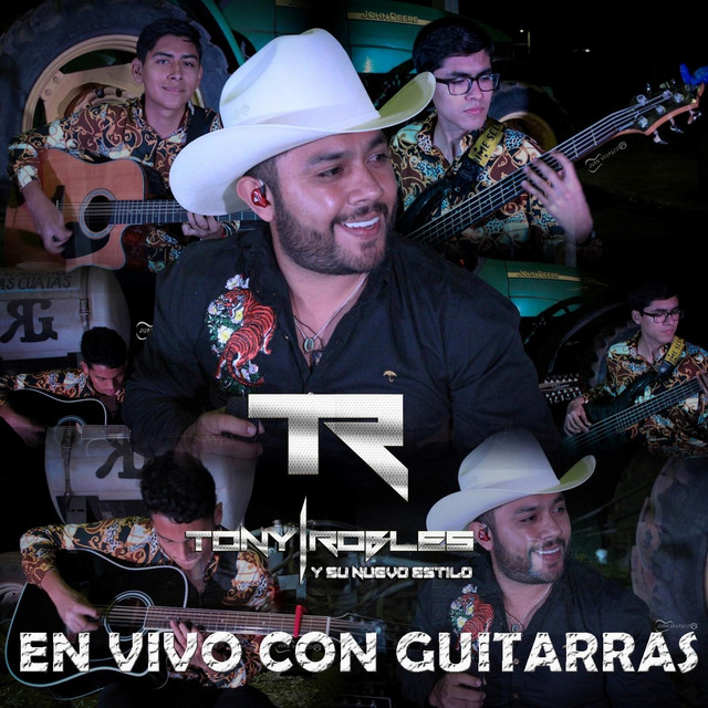 Si Te Pudiera Mentir cover art