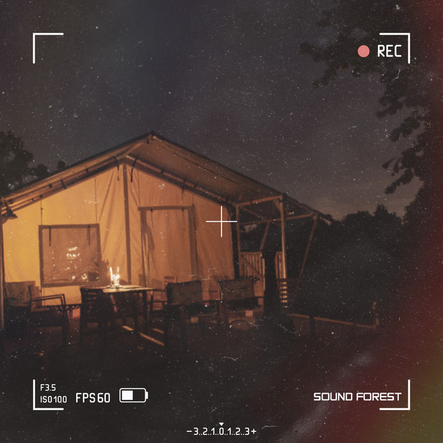 環境音 焚き火と夜の虫 cover art