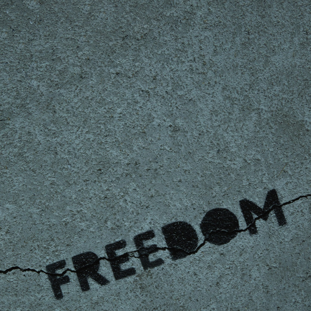 Freedom - song and lyrics by Miyagi & Andy Panda, Moeazy | Spotify