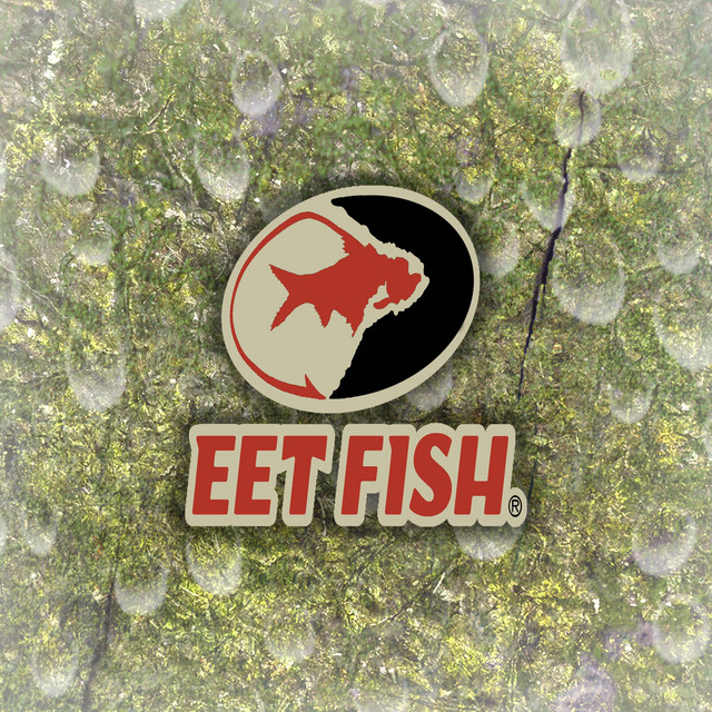 Mossy Oak - Single by eet fish | Spotify