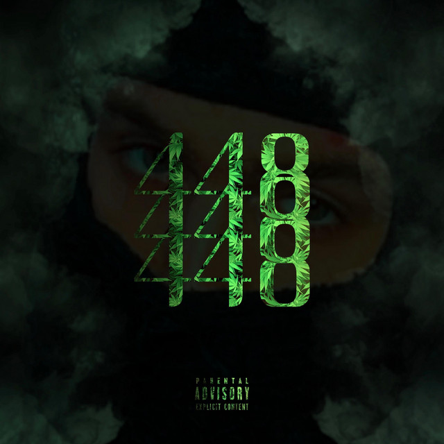 448 cover art