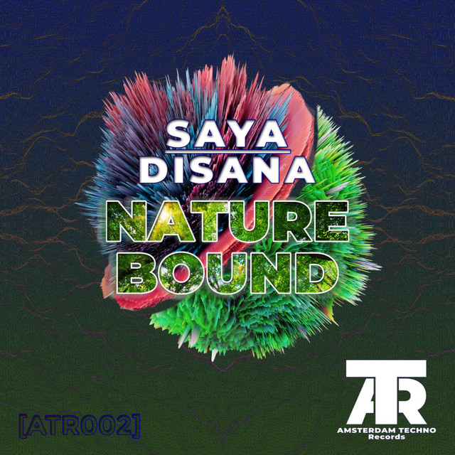 Saya Disana