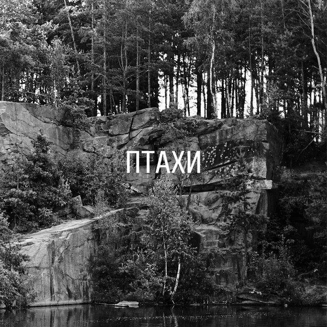 Обкладинка: Птахи — ТИМПАЧЕ