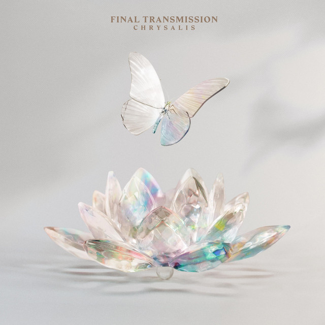 Chrysalis cover art