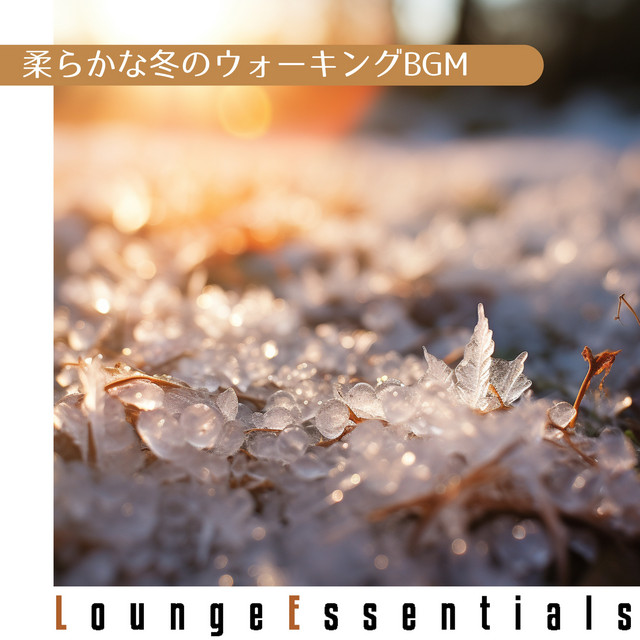 Frosty Snow-Covered Morning