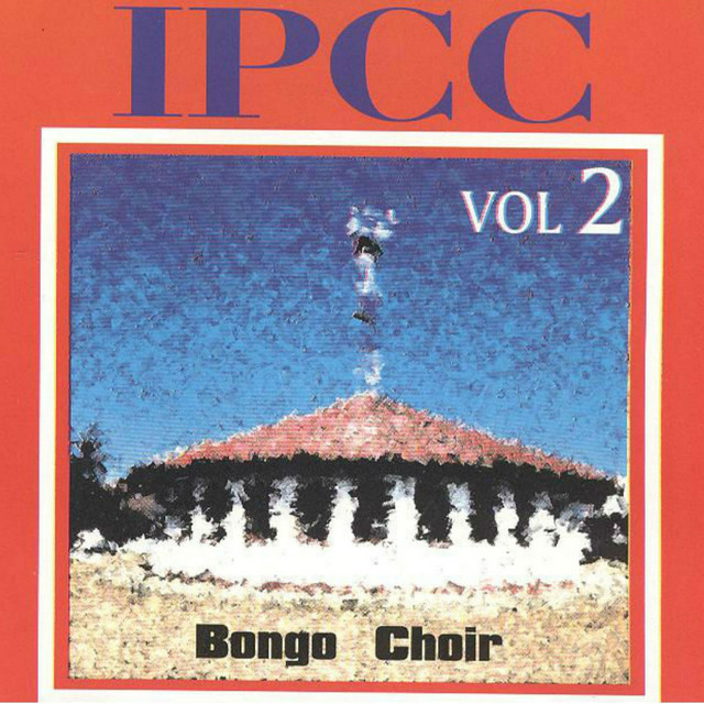 Bongo Choir, Vol. 2 cover art