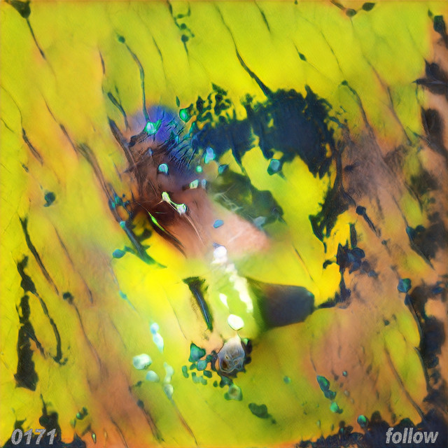 Follow cover