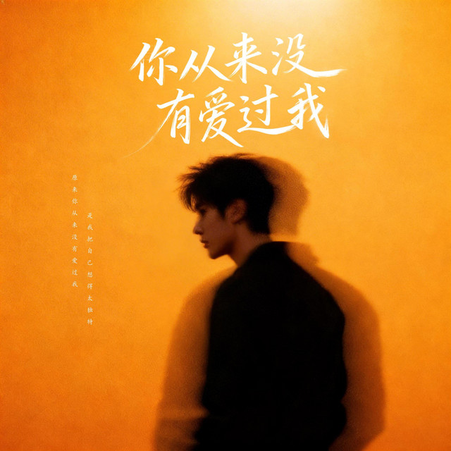 杨凯升 – 你从来没有爱过我