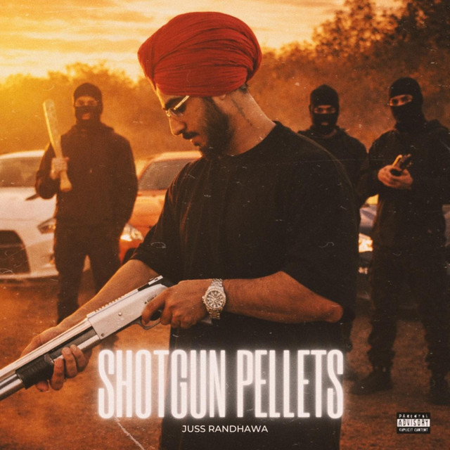 SHOTGUN PELLETS