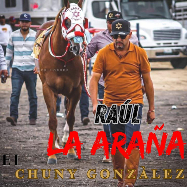 Raúl la Araña