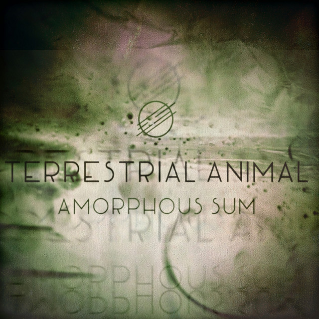 Amorphous Sum cover art