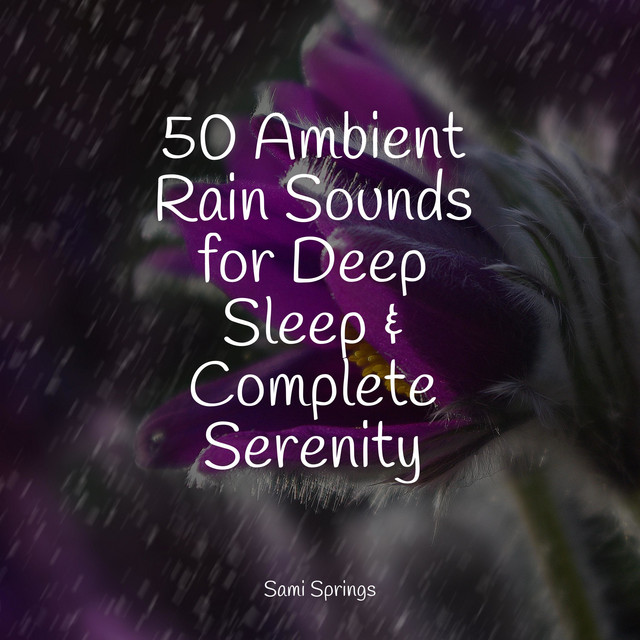 50 Ambient Rain Sounds for Deep Sleep & Complete Serenity - Album by ...