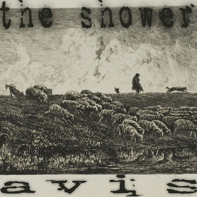 The Shower cover art