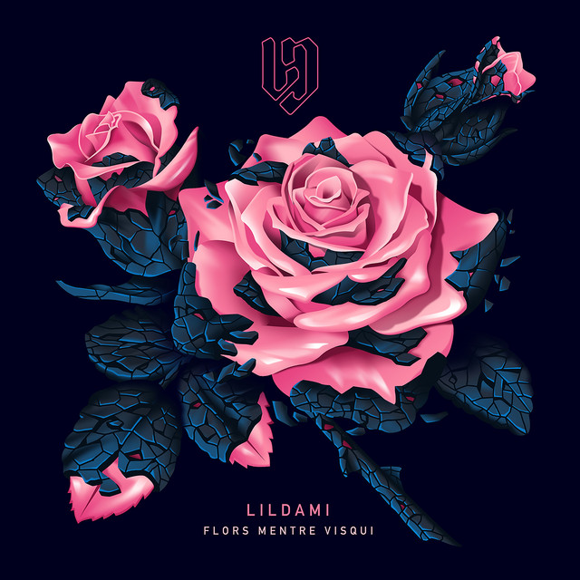 Flors mentre visqui cover art