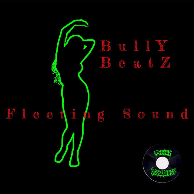 Bully Beatz - FLEETING SOUND