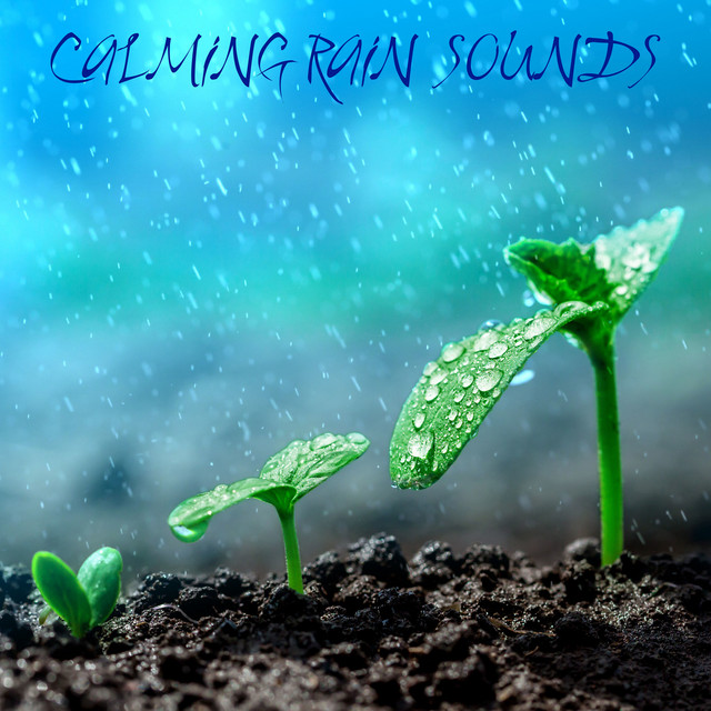 Calming Rain Sounds cover art