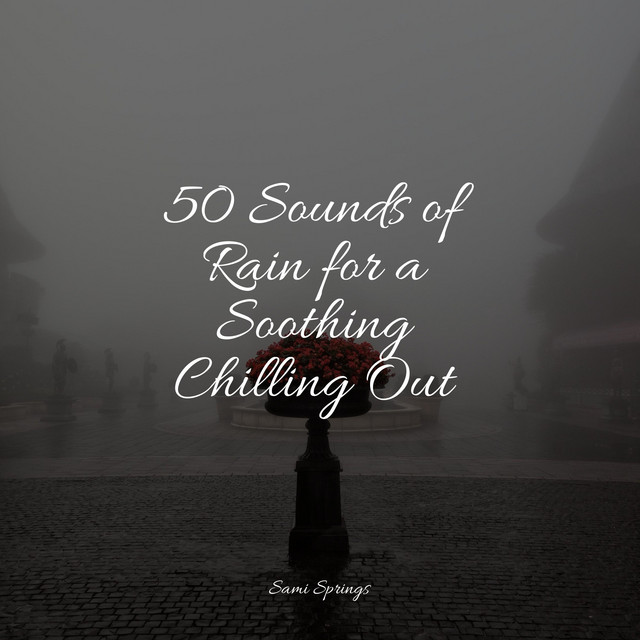 50 Sounds of Rain for a Soothing Chilling Out - Album by Deep Sleep ...