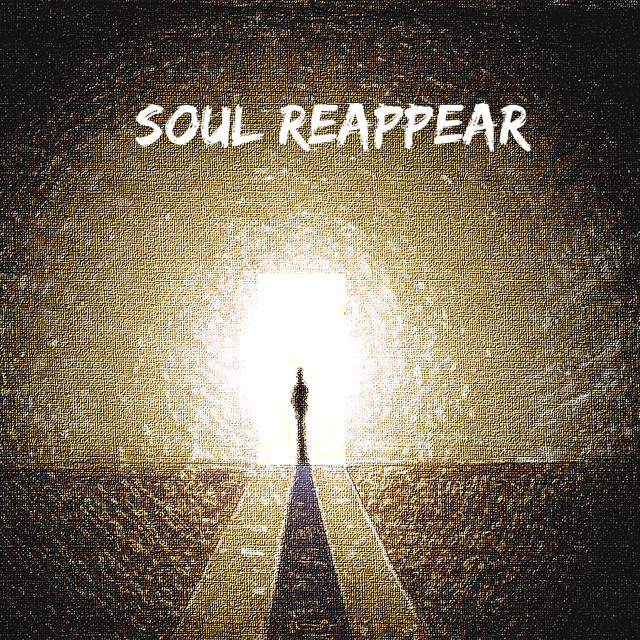 Soul Reappear cover art