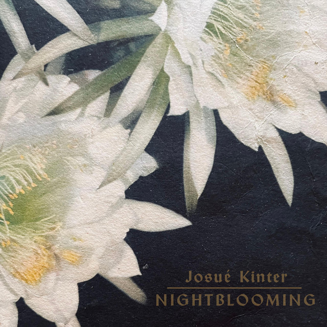 Nightblooming cover art