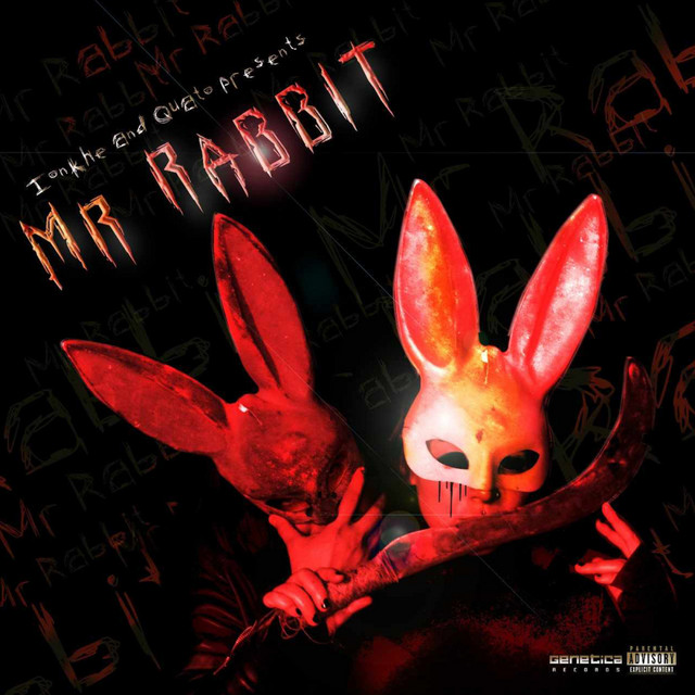Mr Rabbit cover