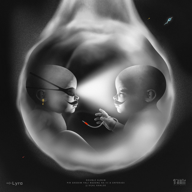 Double Album cover art