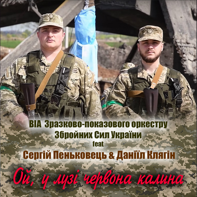 Обкладинка: Ой, у лузі червона калина — ВІА Зразково-показового оркестру Збройних Сил України