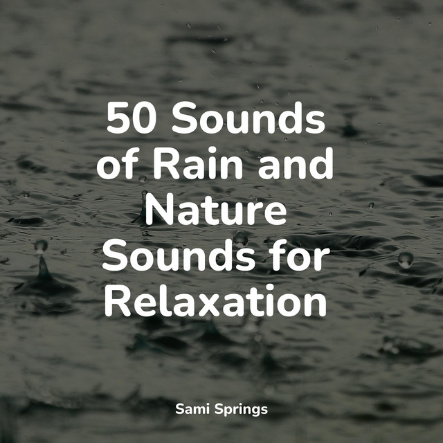 50 Sounds of Rain and Nature Sounds for Relaxation - Album by Sleep ...