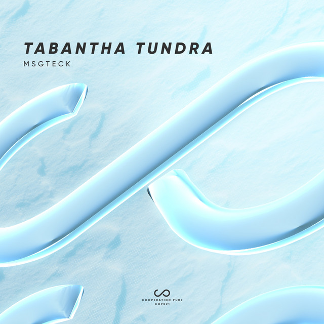 Tabantha Tundra - Extended Mix album art