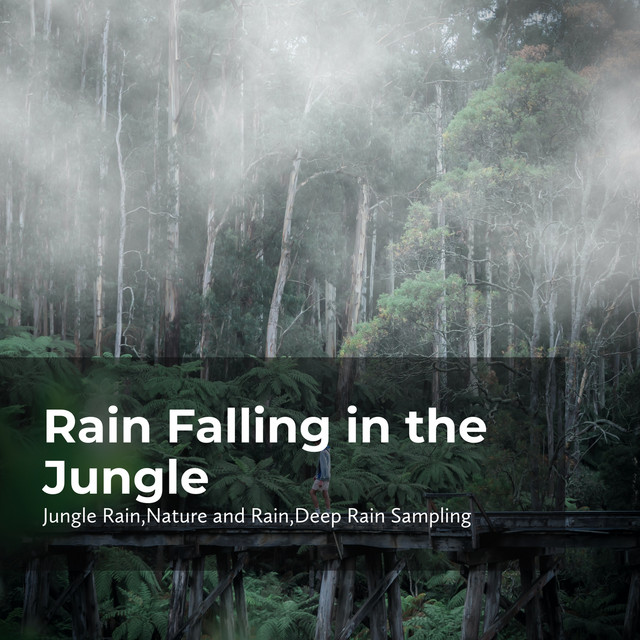 Rain Falling in the Jungle cover art