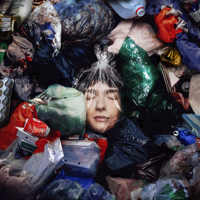2030 Revolution artwork
