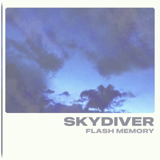 Skydiver cover art