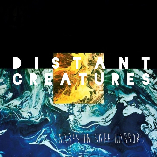 Snares in Safe Harbors cover art
