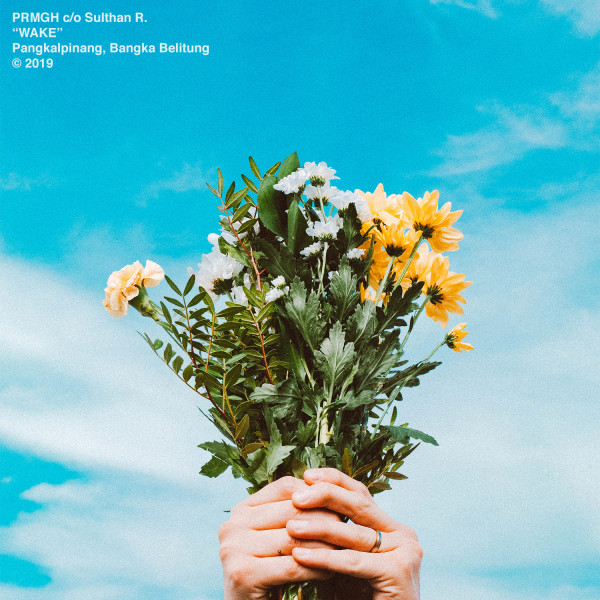Wake cover art