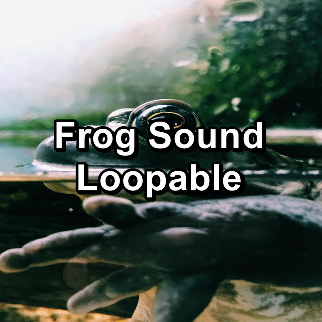 Frog Sound Loopable cover art