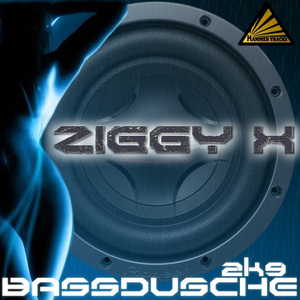 Bassdusche 2K9 cover art