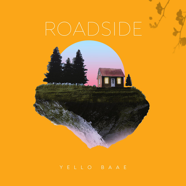 Roadside cover art