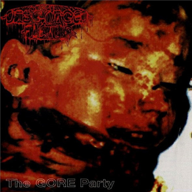 Disgorged Foetus Photo