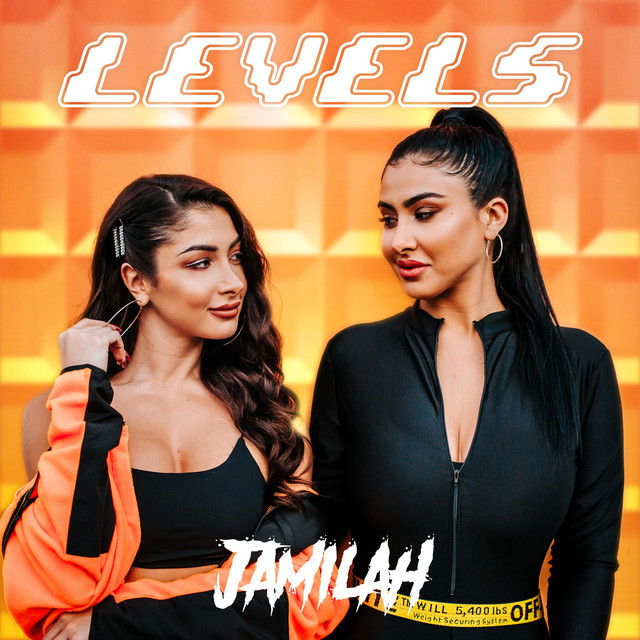 Levels cover art