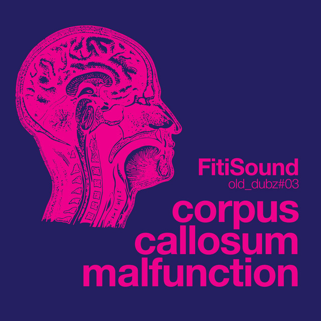 Corpus Callosum Malfunction cover